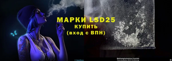 эйфоретик Аркадак