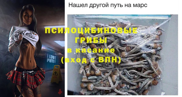 эйфоретик Аркадак
