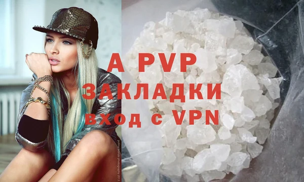 эйфоретик Аркадак